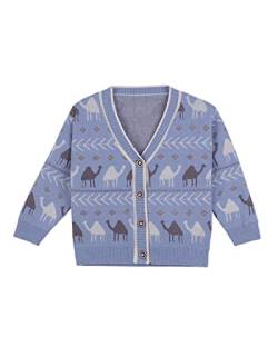 DEBAIJIA Kinder Strickjacken Baby 0-12T Mädchen Jacke Strickjacke Pullover Warm Lange Ärmel Kleinkind Junge Baumwolle Verdicken Herbst Winter(Hölle Blau-100) von DEBAIJIA