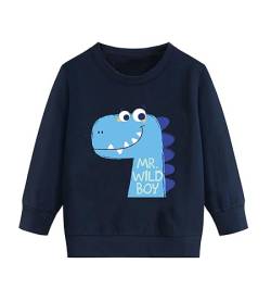 DHASIUE Baby Jungen Sweatshirts Baumwolle Tops Pullover Kinder Jungen Kleinkind Winter Warme Langarm Shirts Oberteilung Dinosaurier Blau 4 Jahre 104 von DHASIUE