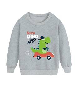 DHASIUE Jungen Sweatshirts Kleinkind Streetwear Pullover Baumwolle Winter Baby Jungen Langarm Shirts Tops Oberbekleidung Dinosaurier Auto Grau 3 Jahre 98 von DHASIUE