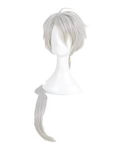 DNARLKBF Mystic Messenger Zen Cosplay Wig Silver Long Ponytail Heat Resistant Synthetic Hair Wig + Wig Cap von DNARLKBF