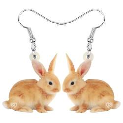 DOWAY Cute Ostereier Kaninchen Ohrringe Acryl Osterhase Dangle Schmuck Geschenke für Damen Mädchen lustig Ostern Deko (Kaffee B) von DOWAY