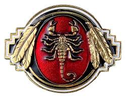 Scorpion Bolo-Krawatte, vergoldet, mit Kordel und Geschenkbox von DRAGON DESIGNS TANSIDE LTD.