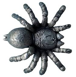 Spider 3D-Gürtelschnalle mit Geschenkbox von DRAGON DESIGNS TANSIDE LTD.