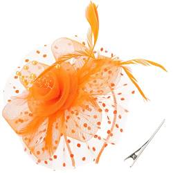 DRESHOW Fascinators Hut Blume Mesh Bänder Federn auf einem Stirnband und Einem Geteilten Clip Cocktail Tea Party Headwear für Mädchen und Damen von DRESHOW