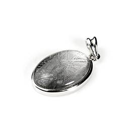 DSXJEZNJ natural stone pendant Natürlicher Gibeon-Eisen-Meteorit-Silber überzogener Damen-Herren-Anhänger 19 × 14 × 6 mm von DSXJEZNJ
