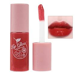 Lippenöl getönt, Feuchtigkeitsspendender Lipgloss getönt, Transparenter, aufpolsternder Lipgloss, langanhaltendes, feuchtigkeitsspendendes Lip Glow Oil, getöntes Lippenöl für die Lippenpflege Dudok von DUDOK