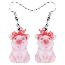 DUOWEI Cute Acryl Pinke Schwein Ohrringe Pig Schmuck Schweine Geschenk Für Damen Frauen Mädchen Schweinefans (Rosa) von DUOWEI