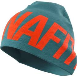 Dynafit Unisex Light Logo Beanie, Mallard Blue/4490, Einheitsgröße von DYNAFIT