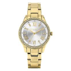 Daisy Dixon Damen Analog Quarz Uhr mit Edelstahl Armband DD106GM von Daisy Dixon