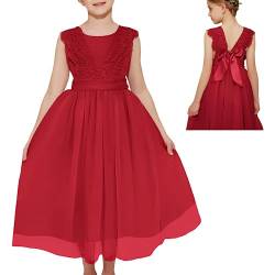 Danna Belle Mädchen Prinzessin Kleider 110 Kinder Blumenmädchen Hochzeit Festliches Party Einschulung Spitzen Tüll Kleid Sommer Taufe Abend Kommunionkleider Lang 116 Rot von Danna Belle