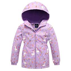 Daysskk Regenjacke Madchen Gefüttert 134-140 Softshelljacke Kinder Madchen Wasserdicht Regenjacke Madchen Winter Übergangsjacke Madchen Gefütterte Wanderjacke Outdoorjacke Gefüttert Winddicht Violett von Daysskk