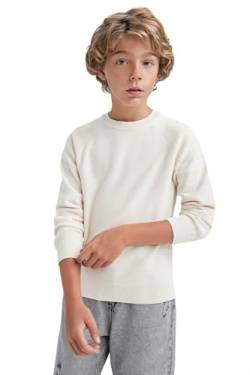 DeFacto Langarmshirt Pullover und Sweatshirt für Jungen - Stilvolle Kinderbekleidung für die kalte Jahreszeit Pullover für Kinder Regular Fit Crew Neck von DeFacto