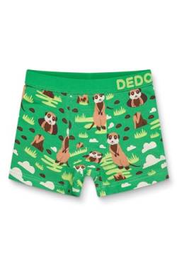 Dedoles Boxershorts Herren & Jungen Unterwäsche Trunks Baumwolle lustige Designs Dinosaurier Hamster Spiele Maulwurf Geschenk, Farbe: Grün, Motiv: Erdmännchen, Gr. 2-4 Jahre von Dedoles