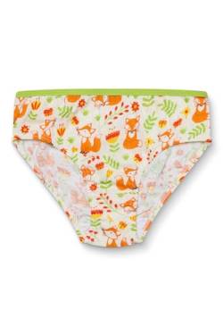 Dedoles Slip Damen & Mädchen Panties Unterwäsche Baumwolle viele lustige Designs Blumen Apfel Avocado Einhorn Party Meerjungfrau, Farbe: Orange, Motiv: Fuchs und Schmetterlinge, Gr. 9-10 Jahre von Dedoles