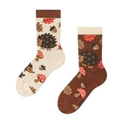 Dedoles Socken Kinder Mädchen Jungen Baumwolle viele lustige Designs Weihnachtssocken 1 Paar, Farbe Beige, Motiv Waldigel, Gr. 23-26 von Dedoles