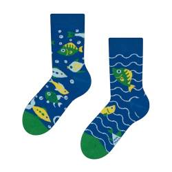 Dedoles Socken Kinder Mädchen Jungen Baumwolle viele lustige Designs Weihnachtssocken 1 Paar, Farbe Blau, Motiv Aquariumfische, Gr. 27-30 von Dedoles