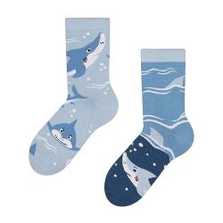 Dedoles Socken Kinder Mädchen Jungen Baumwolle viele lustige Designs Weihnachtssocken 1 Paar, Farbe Blau, Motiv Grauer Hai, Gr. 23-26 von Dedoles