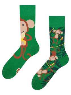 Dedoles Socken Kinder Mädchen Jungen Baumwolle viele lustige Designs Weihnachtssocken 1 Paar, Farbe Grün, Motiv Affen, Gr. 27-30 von Dedoles