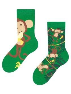 Dedoles Socken Kinder Mädchen Jungen Baumwolle viele lustige Designs Weihnachtssocken 1 Paar, Farbe Grün, Motiv Affen, Gr. 31-34 von Dedoles