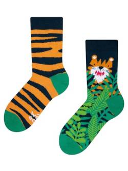 Dedoles Socken Kinder Mädchen Jungen Baumwolle viele lustige Designs Weihnachtssocken 1 Paar, Farbe Grün, Motiv Tiger, Gr. 23-26 von Dedoles