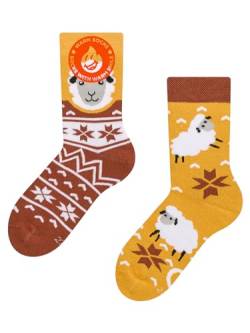 Dedoles Socken Kinder Mädchen Jungen Baumwolle viele lustige Designs Weihnachtssocken 1 Paar Tiger, Farbe Orange, Motiv Schaf im Pullover Wärmesocken, Gr. 23-26 von Dedoles