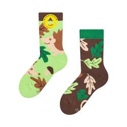 Dedoles Socken Kinder Mädchen Jungen Baumwolle viele lustige Designs Weihnachtssocken 1 Paar Tiger Frosch, Farbe Grün, Motiv Igel und Blätter Wärmesocken, Gr. 27-30 von Dedoles