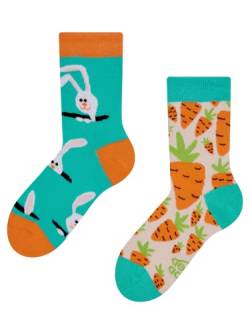 Dedoles Socken Kinder Mädchen Jungen Baumwolle viele lustige Designs Weihnachtssocken 1 Paar Tiger Frosch, Farbe Mehrfarbig, Motiv Kaninchen mit Karotten, Gr. 27-30 von Dedoles