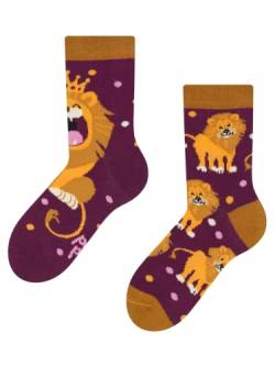 Dedoles Socken Kinder Mädchen Jungen Baumwolle viele lustige Designs Weihnachtssocken 1 Paar Tiger Frosch, Farbe Mehrfarbig, Motiv König des Dschungels, Gr. 27-30 von Dedoles