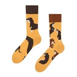 Dedoles Socken Regular normale Höhe Unisex Damen Herren Baumwolle viele lustige Designs Weihnachtssocken, Farbe Gelb, Motiv Dackel, Gr. 39-42 von Dedoles