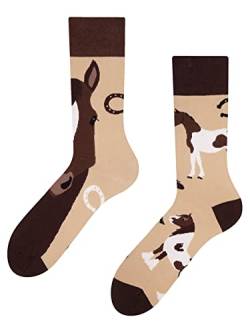 Dedoles Socken Regular normale Höhe Unisex Damen Herren Baumwolle viele lustige Designs Weihnachtssocken 1 Paar, Farbe Beige, Motiv Pferde, Gr. 35-38 von Dedoles