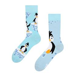 Dedoles Socken Regular normale Höhe Unisex Damen Herren Baumwolle viele lustige Designs Weihnachtssocken 1 Paar, Farbe Blau, Motiv Fröhlicher Pinguin, Gr. 43-46 von Dedoles