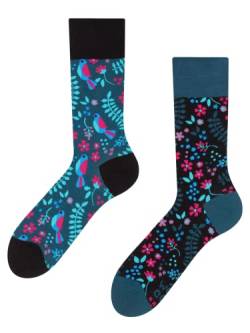 Dedoles Socken Regular normale Höhe Unisex Damen Herren Baumwolle viele lustige Designs Weihnachtssocken 1 Paar, Farbe Blau, Motiv Geheimer Garten, Gr. 39-42 von Dedoles