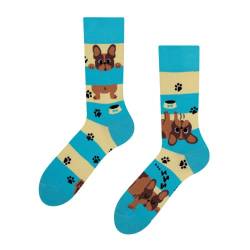 Dedoles Socken Regular normale Höhe Unisex Damen Herren Baumwolle viele lustige Designs Weihnachtssocken 1 Paar, Farbe Blau, Motiv Hunde und Streifen, Gr. 35-38 von Dedoles