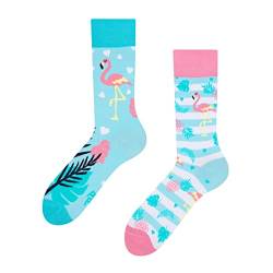 Dedoles Socken Regular normale Höhe Unisex Damen Herren Baumwolle viele lustige Designs Weihnachtssocken 1 Paar, Farbe Blau, Motiv Liebes-Flamingos, Gr. 35-38 von Dedoles