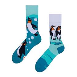 Dedoles Socken Regular normale Höhe Unisex Damen Herren Baumwolle viele lustige Designs Weihnachtssocken 1 Paar, Farbe Blau, Motiv Pinguine, Gr. 35-38 von Dedoles