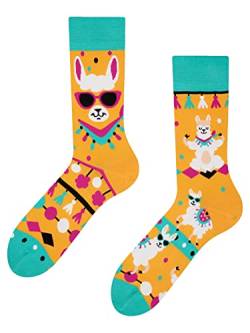 Dedoles Socken Regular normale Höhe Unisex Damen Herren Baumwolle viele lustige Designs Weihnachtssocken 1 Paar, Farbe Gelb, Motiv Cooles Lama, Gr. 35-38 von Dedoles