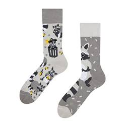 Dedoles Socken Regular normale Höhe Unisex Damen Herren Baumwolle viele lustige Designs Weihnachtssocken 1 Paar, Farbe Grau, Motiv Waschbär, Gr. 43-46 von Dedoles