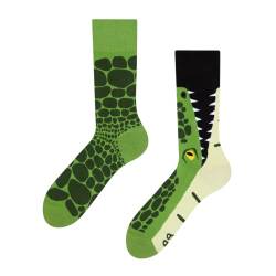 Dedoles Socken Regular normale Höhe Unisex Damen Herren Baumwolle viele lustige Designs Weihnachtssocken 1 Paar, Farbe Grün, Motiv Krokodil, Gr. 39-42 von Dedoles