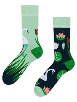 Dedoles Socken Regular normale Höhe Unisex Damen Herren Baumwolle viele lustige Designs Weihnachtssocken 1 Paar, Farbe Grün, Motiv Weißer Schwan, Gr. 35-38 von Dedoles