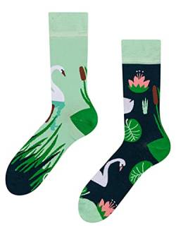 Dedoles Socken Regular normale Höhe Unisex Damen Herren Baumwolle viele lustige Designs Weihnachtssocken 1 Paar, Farbe Grün, Motiv Weißer Schwan, Gr. 39-42 von Dedoles