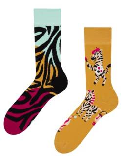 Dedoles Socken Regular normale Höhe Unisex Damen Herren Baumwolle viele lustige Designs Weihnachtssocken 1 Paar, Farbe Mehrfarbig, Motiv Zebrakünstler, Gr. 35-38 von Dedoles