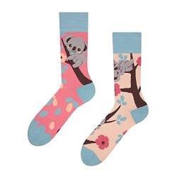 Dedoles Socken Regular normale Höhe Unisex Damen Herren Baumwolle viele lustige Designs Weihnachtssocken 1 Paar, Farbe Rosa, Motiv Schläfriger Koala, Gr. 35-38 von Dedoles