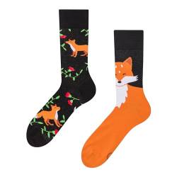 Dedoles Socken Regular normale Höhe Unisex Damen Herren Baumwolle viele lustige Designs Weihnachtssocken 1 Paar, Farbe Schwarz, Motiv Fuchs und Blüten, Gr. 35-38 von Dedoles