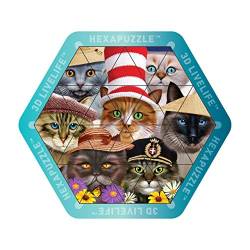 3D LiveLife Hexapuzzle - Katzen in den Hüten. Lentikulares 3D Cat Puzzle mit 24 magnetischen Stücken! Magnetische Puzzlespiel-Strecke von Deluxebase. Originalvorlage genehmigt vom bekannten Künstler, von Deluxebase