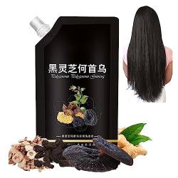 Dr. Wen Black Ganoderma Polygonum Shampoo, Black Ganoderma und Polygonum Multiflorum Shampoo, Dr. Wen Shampoo, Kräuter-Haarpflege-Shampoo, fördert das Haarwachstum für Männer und Frauen (1 Stück) von Depploo