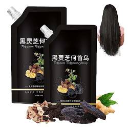 Dr. Wen Black Ganoderma Polygonum Shampoo, Black Ganoderma und Polygonum Multiflorum Shampoo, Dr. Wen Shampoo, Kräuter-Haarpflege-Shampoo, fördert das Haarwachstum für Männer und Frauen (2PC) von Depploo