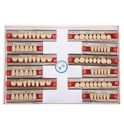 Zahnersatz Zähne ,Kunstharzzahn Mit Acryl Harz Dental Kunstharz Falsche Zhne Dentalmaterial Zahnprothesen Zahnarztzubeh von Deror