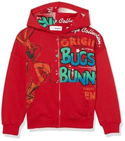 Desigual Boy's Bugs 3000 Carmin Sweater, Red, M von Desigual