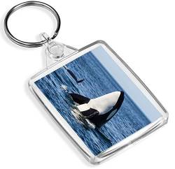 Ehrfürchtig Killerwal Schlüsselanhänger Orca Ozean Sea Marine Tier Schlüsselanhänger Gift # 14212 von Destination Vinyl Keyrings