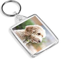 Ziel Vinyl Schlüsselanhänger Netter Labradoodle Schlüsselanhänger - IP02 - Labrador-Pudel-Hund Welpen Tiere Geschenk # 15534 von Destination Vinyl Keyrings